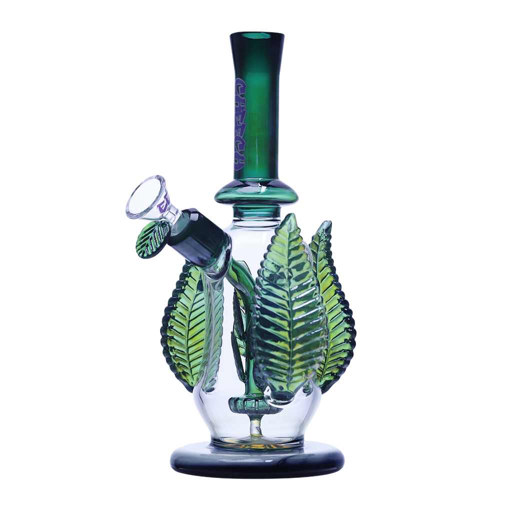 WATERING THIS PLANT SEEMS SO MUCH FUN