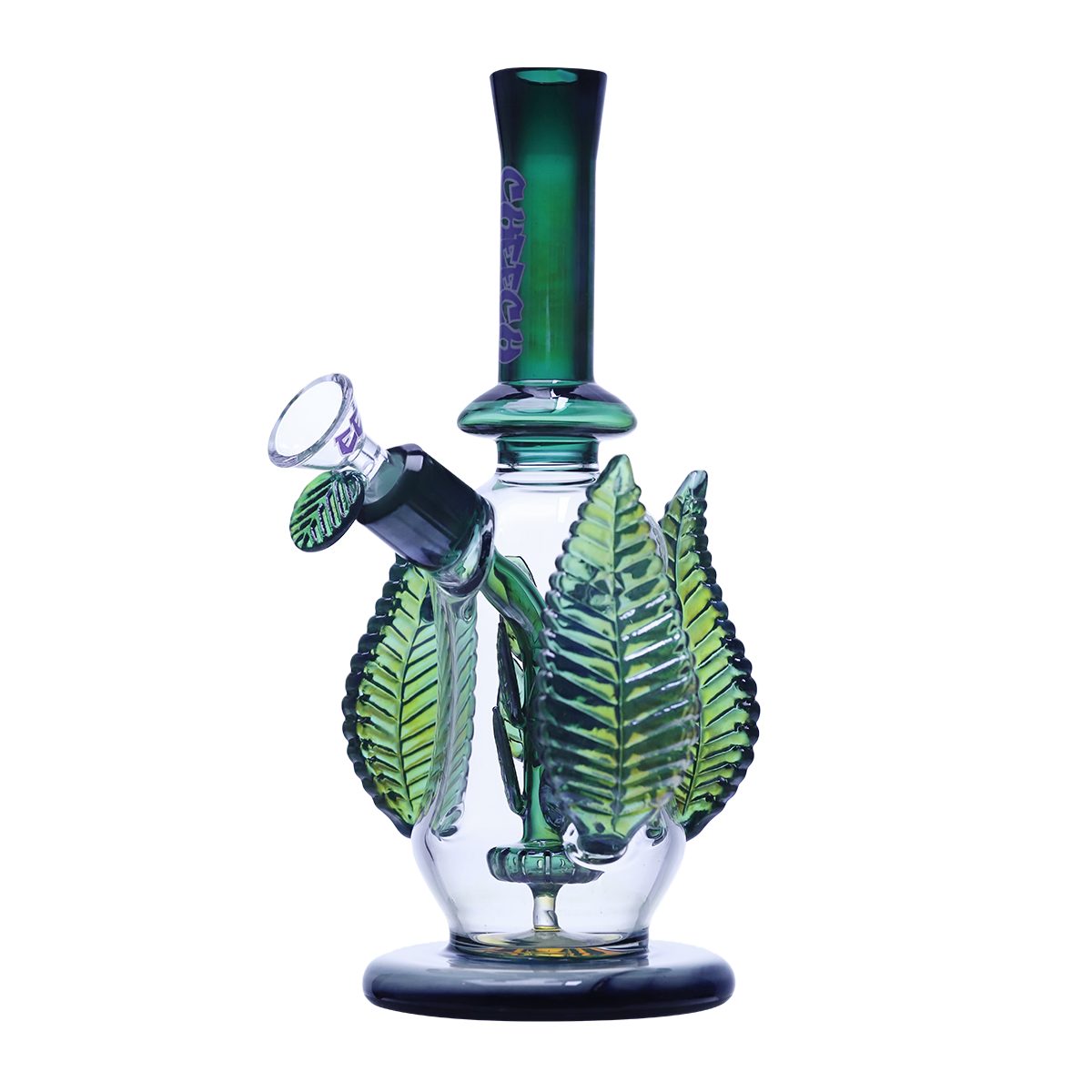 WATERING THIS PLANT SEEMS SO MUCH FUN