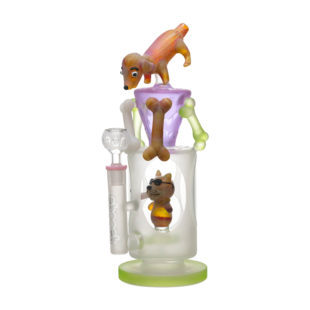 Doggo guarding the glass bones