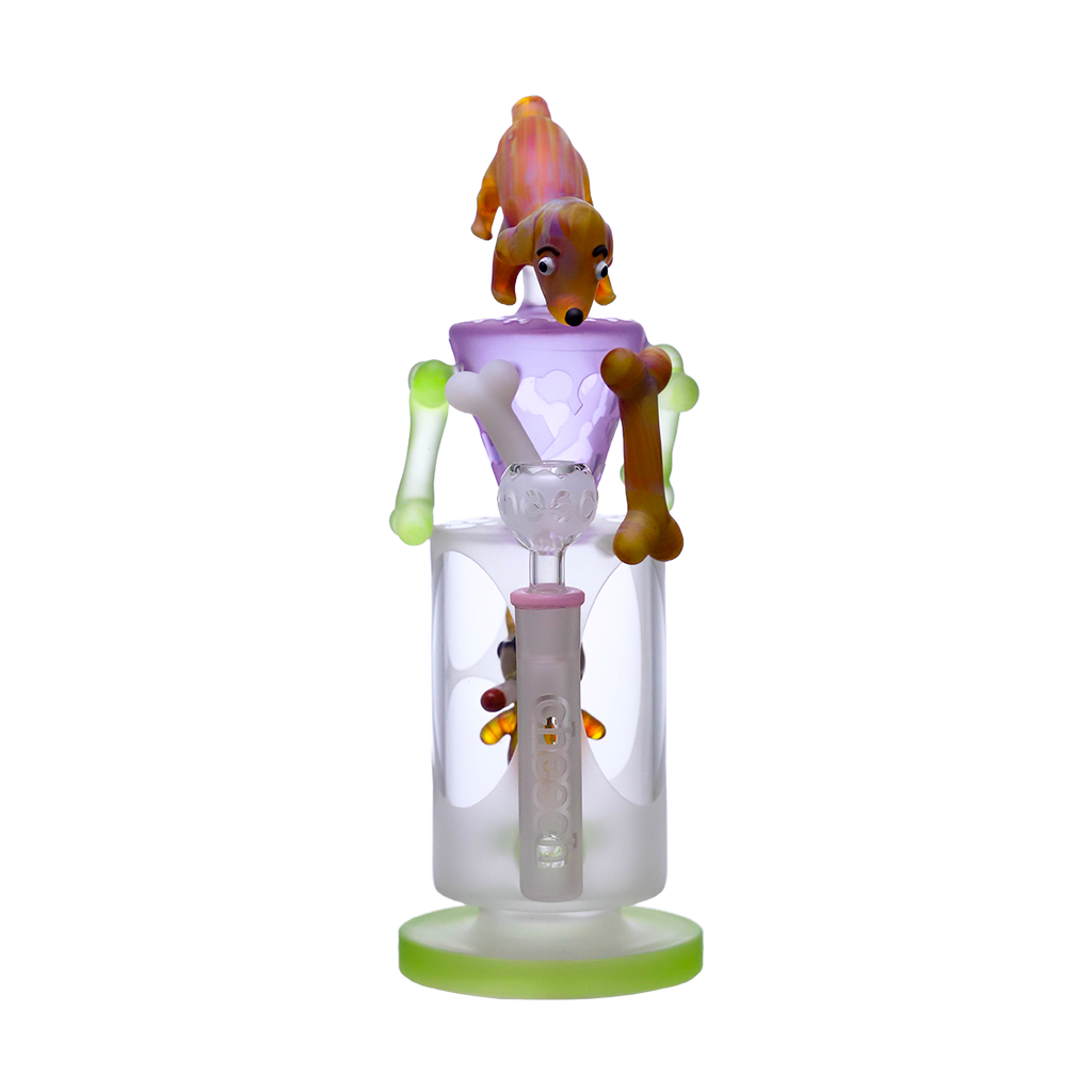 Doggo guarding the glass bones