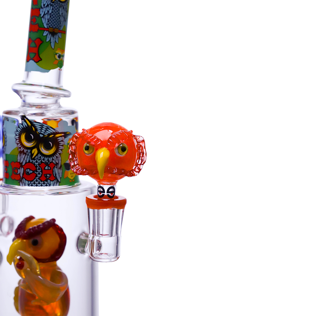 Owls just wanna get high!