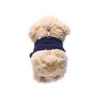 Cuddly bear pouch that hugs accessories