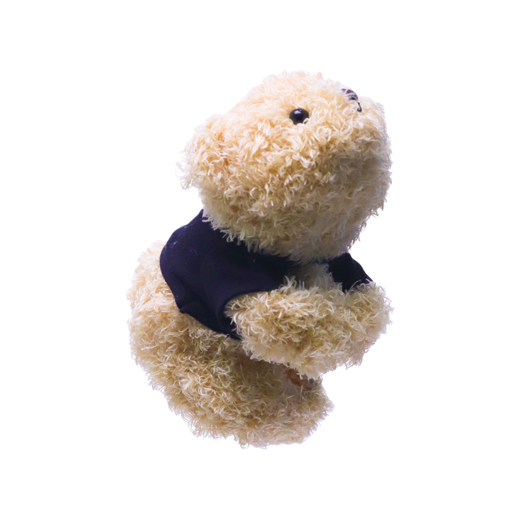 Cuddly bear pouch that hugs accessories