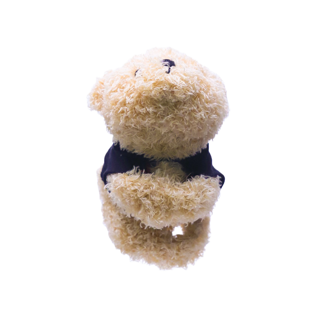 Cuddly bear pouch that hugs accessories