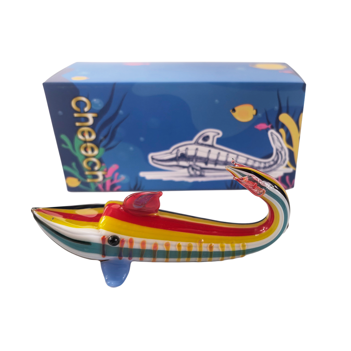 Dolphin ready for high tide vibes